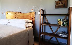 B&B Tricudai
